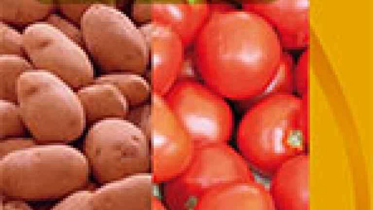 Volante Tervigo Tomate - Papa