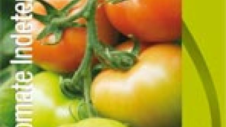 Tomate Indeterminado Sano