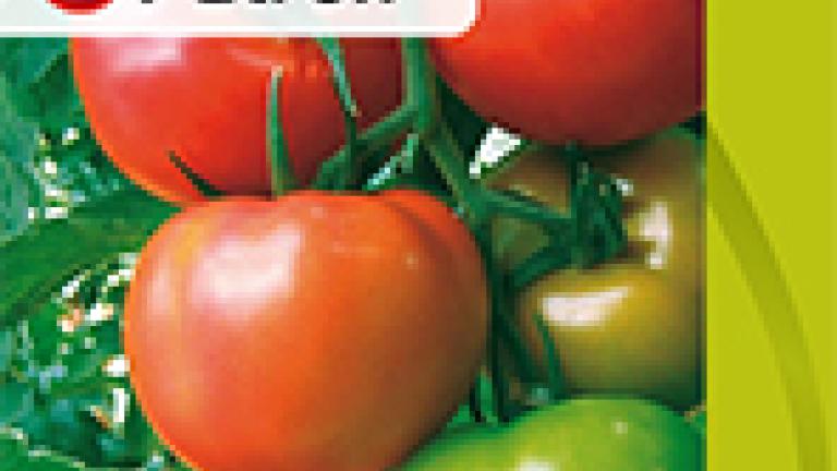 Tomate Patrón