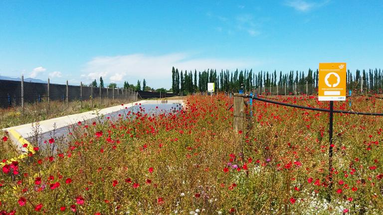 Operation Pollinator en Chile