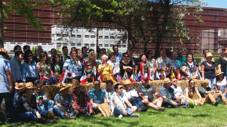 XVII Simposio Internacional de Botrytis