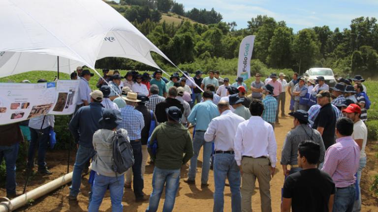 Día de campo de la IX región