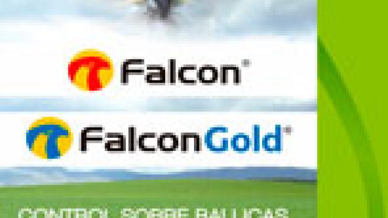 Falcon y Falcon Gold, Control sobre ballicas