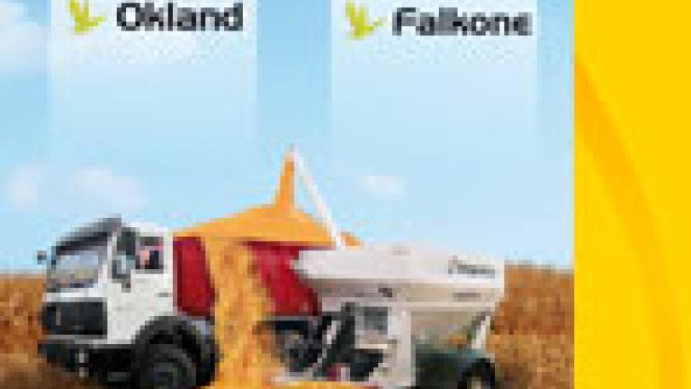 Semillas de maíz grano y ensilaje – Miami, Okland, NK Silero, Falkone