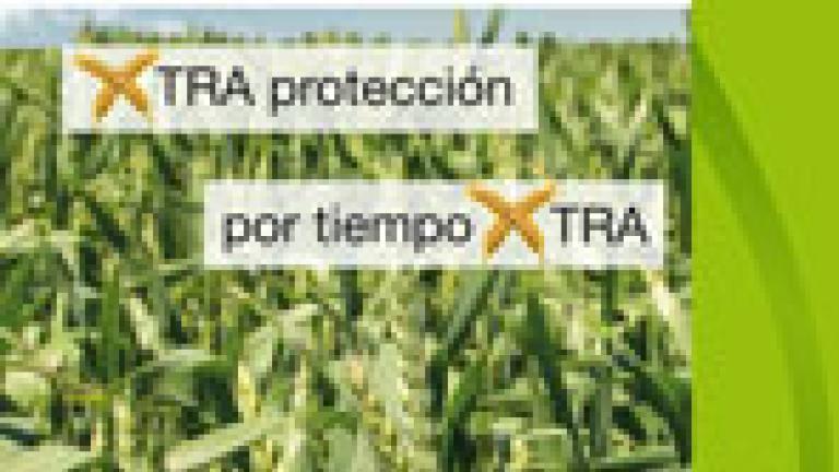 Priori Xtra – Reflect Xtra Trigo