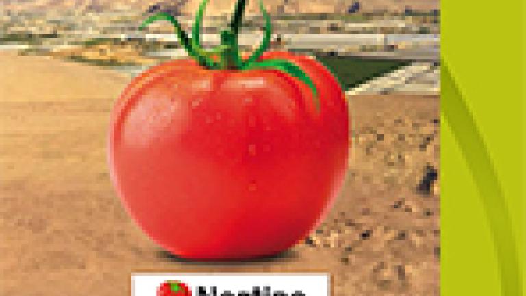 Volante Tomate Nortino