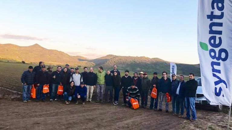 Equipo Syngenta presenta portafolio para cebollas