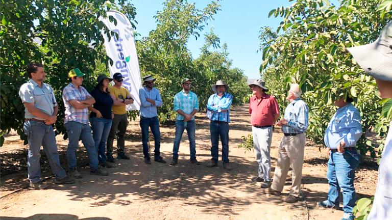 Equipo Syngenta presenta uso de tecnología en nogales