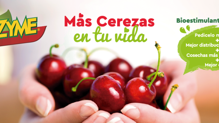 Header Vitazyme Cerezas Nota