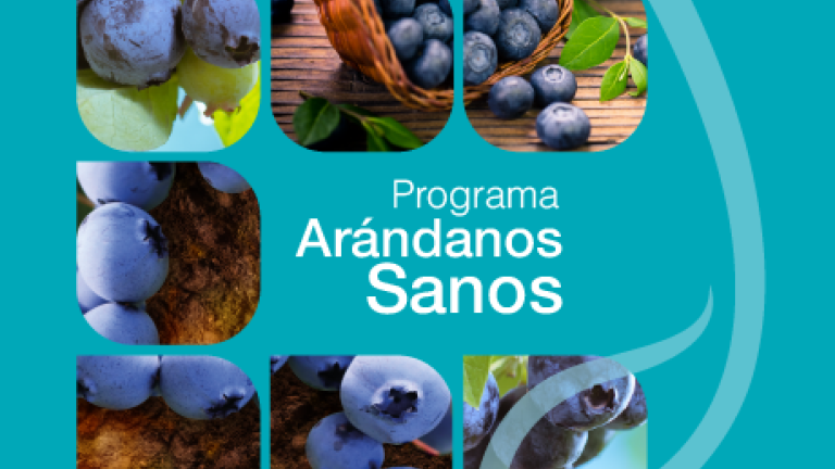Portada programa arandanos