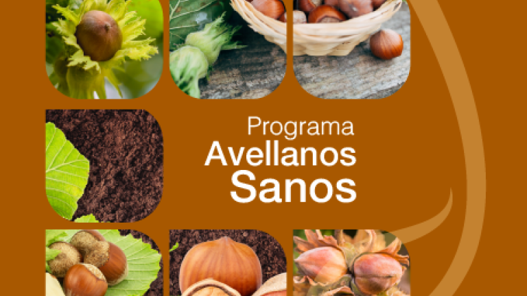 Portada programa avellanos