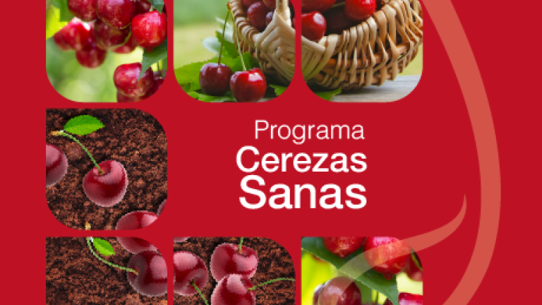Portada programa cerezas