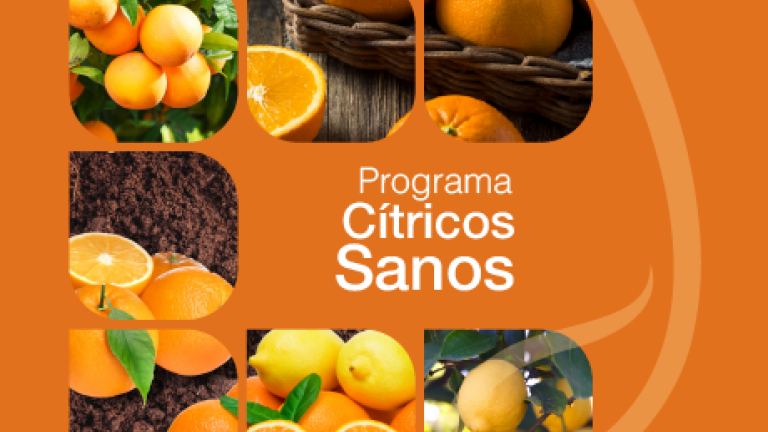 Portada programa citricos