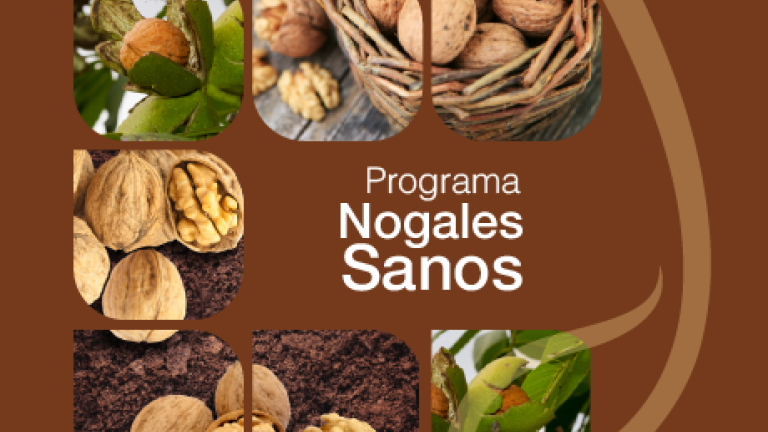 Portada programa nogales
