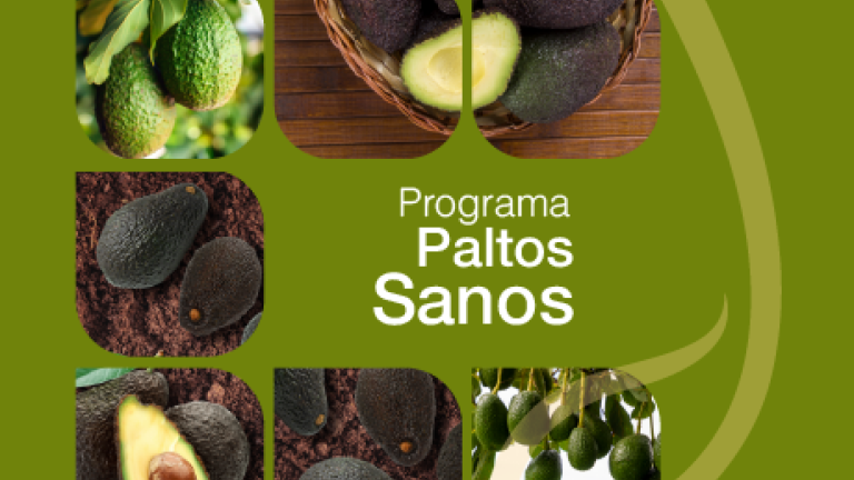 Portada programa paltos