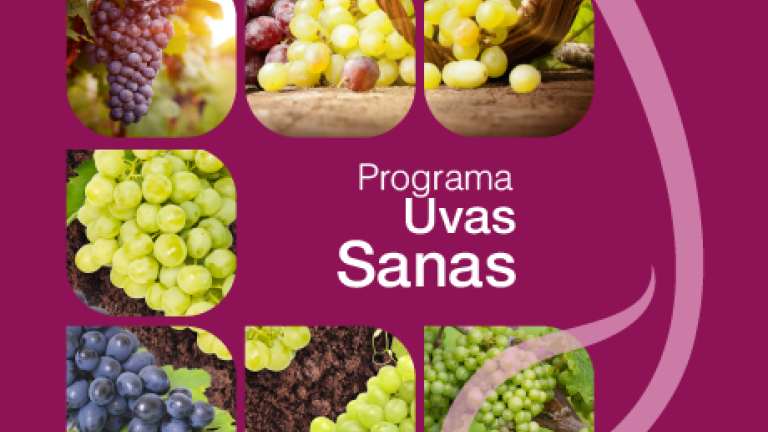 Portada programa uvas