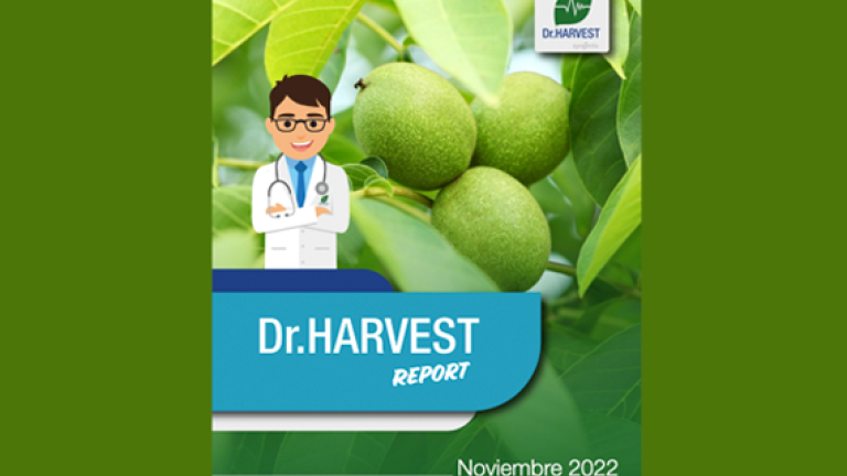 Dr Harvest Especial Nogales