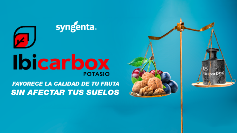 ibicarbox noticia