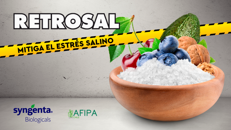 retrosal-nota2