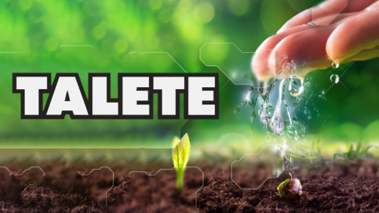 revista digital talete