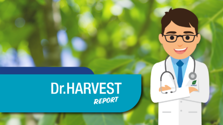 revistas digitales dr harvest