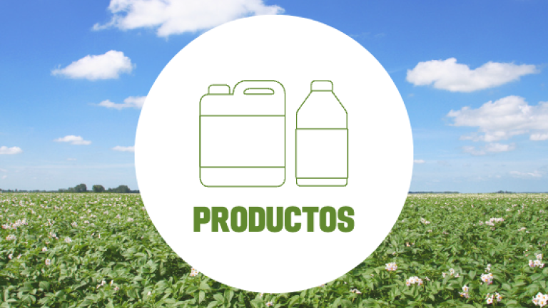 revistas digitales productos