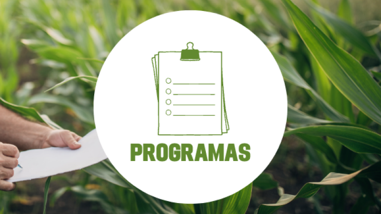 revistas digitales programas