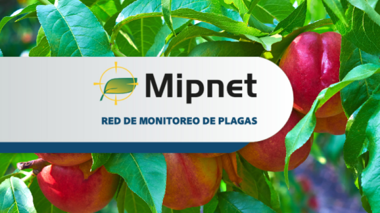 revista digital mipnet febrero 2023