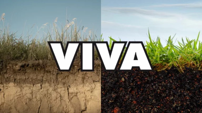 syngenta_cl_revista_digital_viva