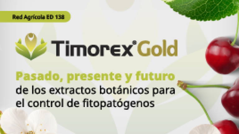Timorex Gold revista