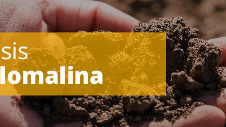 Análisis de Glomalina