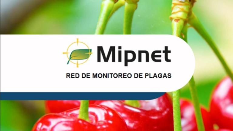 mipnet noviembre 2023