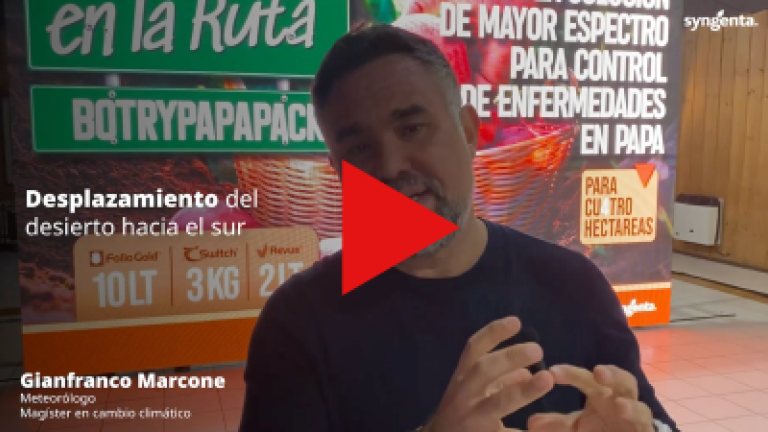 Video Gianfranco Marcone