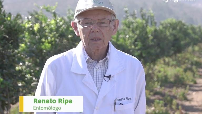 Video Renato Ripa
