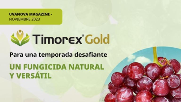 Revista Timorex Gold Uvanova