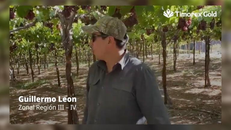 Video: Zonal agroAMIGO Guillermo León - Timorex Gold - imagen