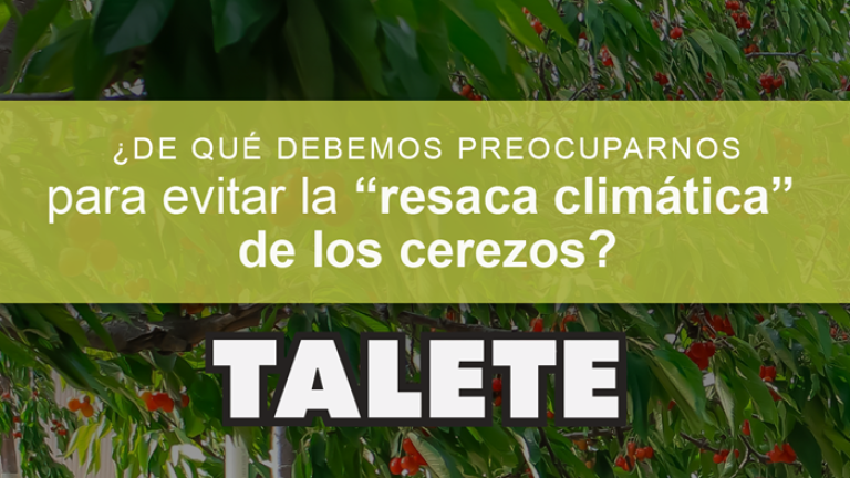 Revista Resaca Climática