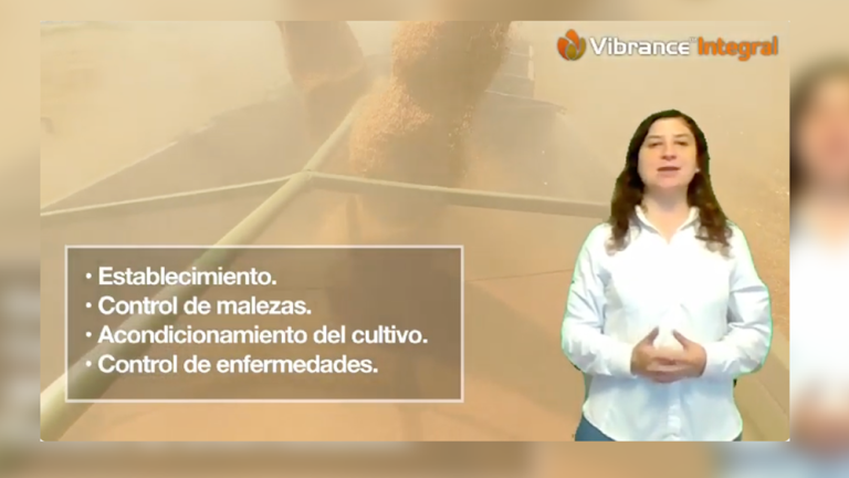 p_preview_pequeno-03.png