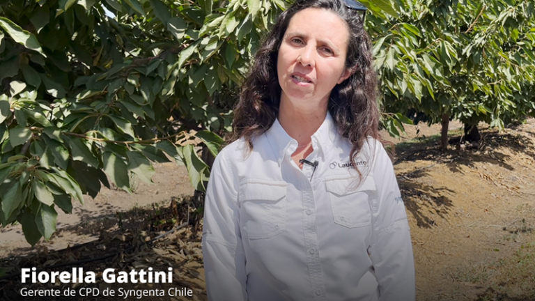 preview Testimonial Laudento® - Fiorella Gattini