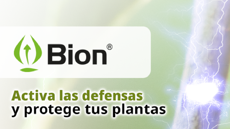 Banner Bion Revista
