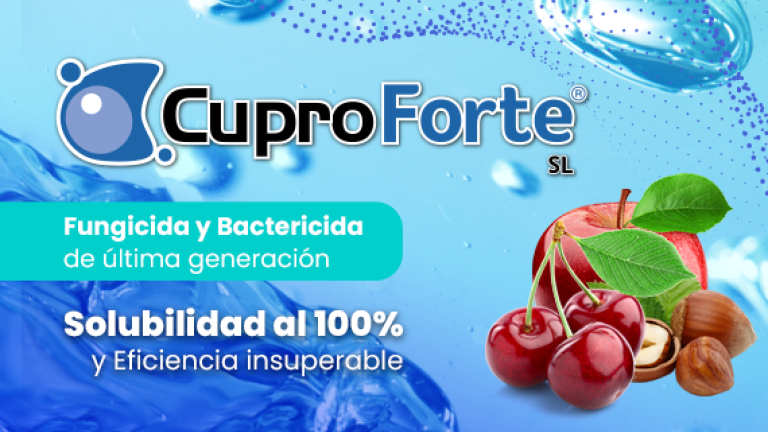 Cuproforte banner