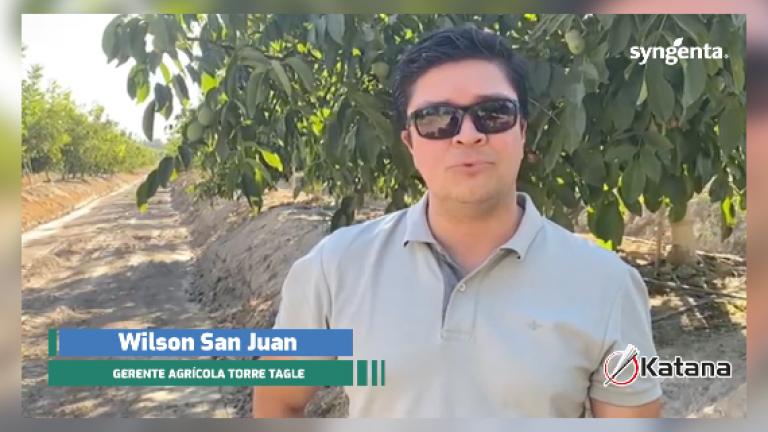 Wilson San Juan