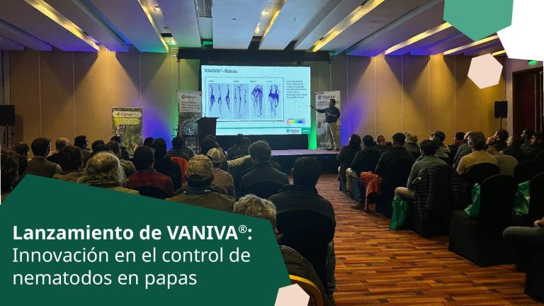 banner Lanzamiento de vaniva