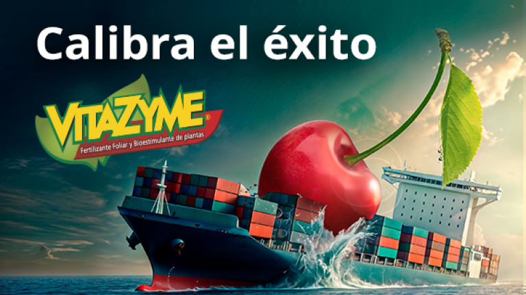 banner_revista_syngenta-vitazyme.png