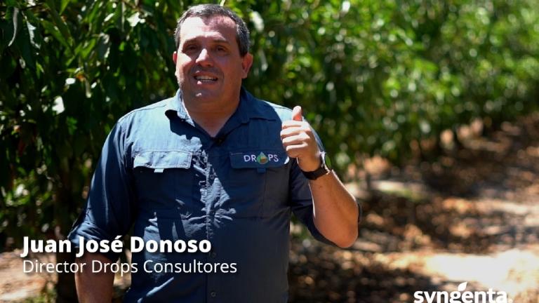 Video: Syngenta Tips: Recomendaciones a nivel de campo al momento de aplicar Laudento®