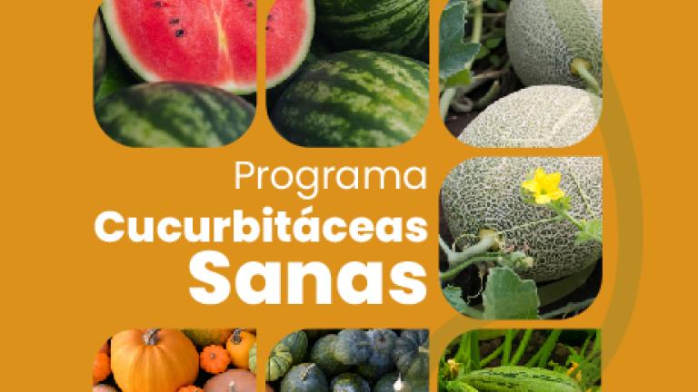 Programa Cucurbitáceas sanas
