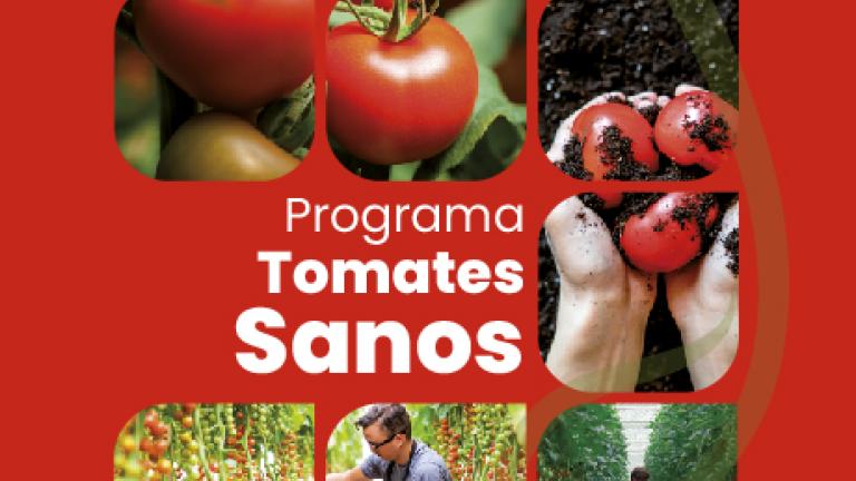Programa Tomates Sanos