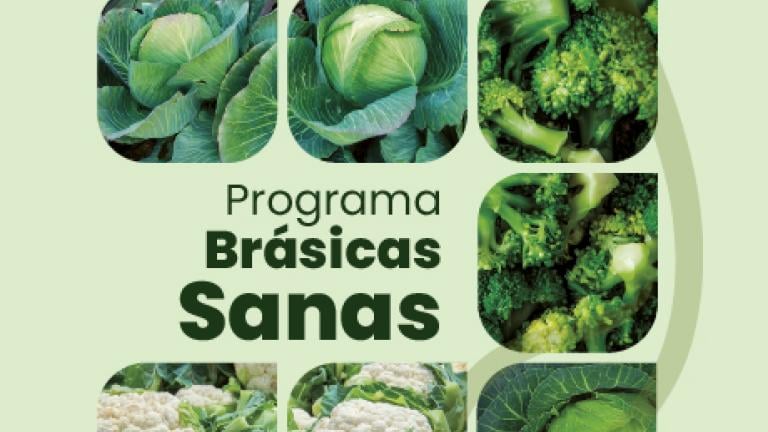 Programa brásicas sanas