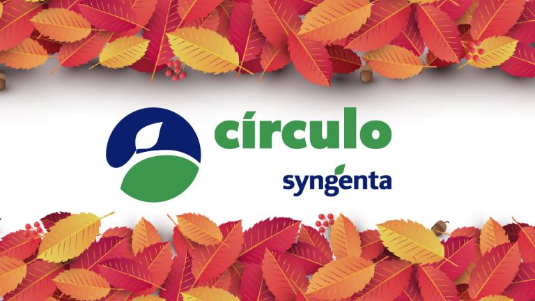 Banner otoño