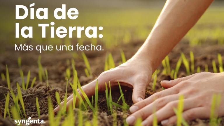 banner_sitio_syngenta_.jpg